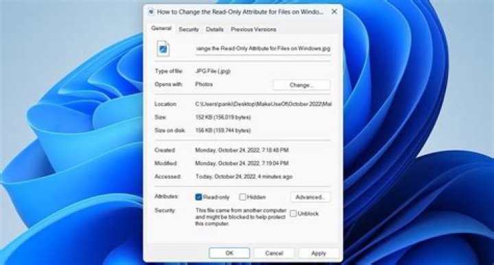 How do I make a file "truly" read-only in Windows 7?