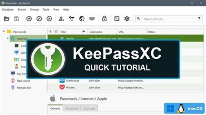 How do I use KeePassXC as an SSH agent?