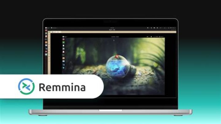 How does Remmina sharing folder work? Can I access Linux folder from Windows without Remmina?