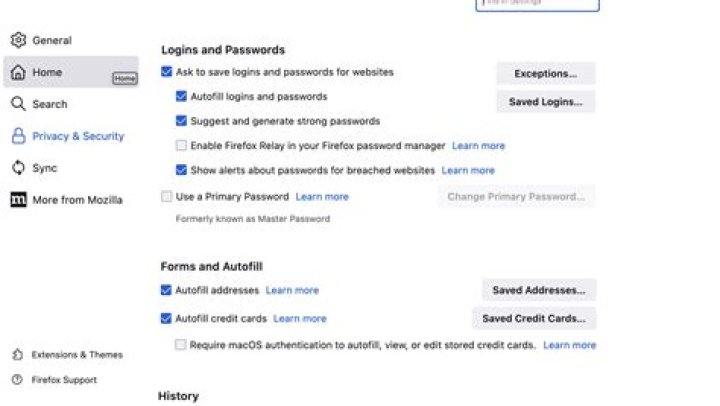 How safe is Firefox password manager?