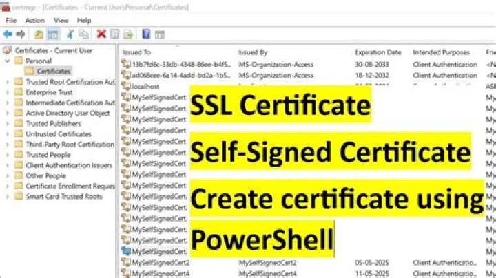 How should I generate a self signed SSL for an intranet server, following these specific requisites?