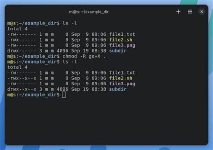 How to add +x just for user with chmod?