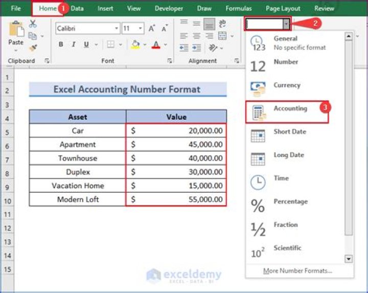 How to change default Accounting Number Format?