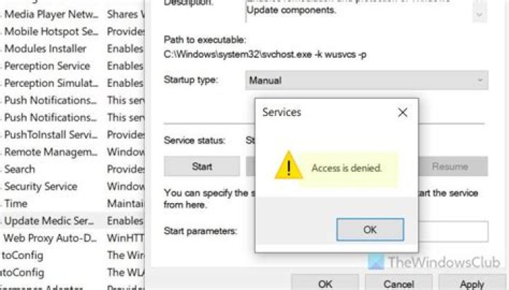 How to disable a service when "access is denied"?