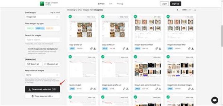 How to extract images from a flash image-viewer?