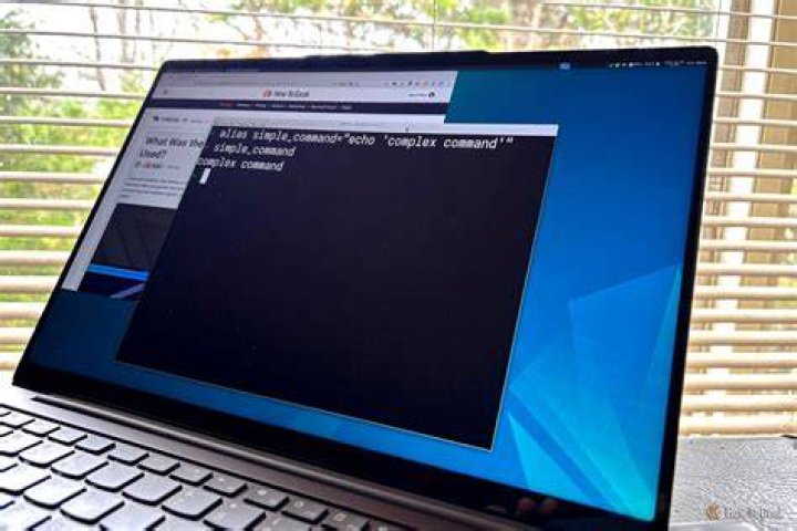 How to fix the terminal and Linux files for error 20 on a chromebook