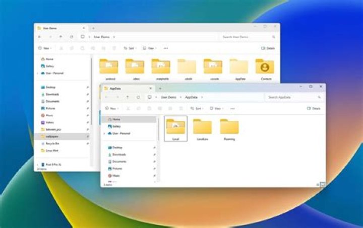 How to get access to user\APPDATA\LOCAL folder in Windows 7