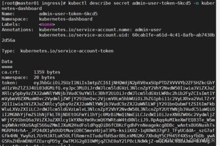 How to get the admin-user token from kubectl