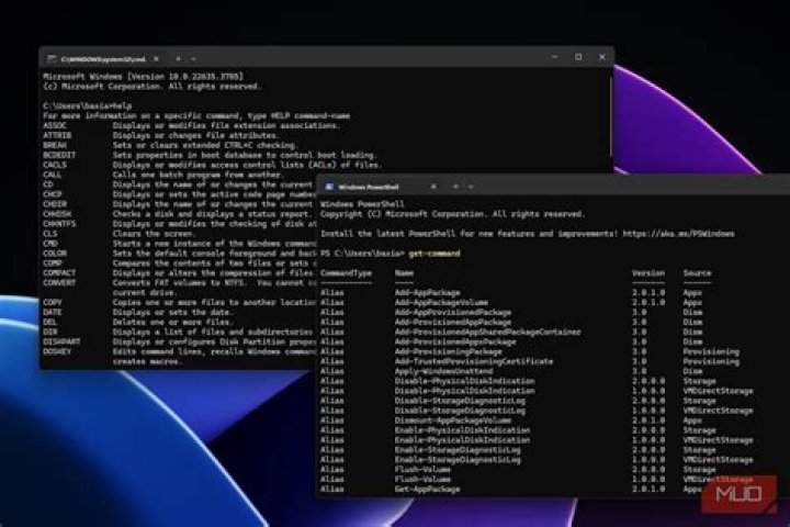 How to input a tab character in cmd.exe or powershell?