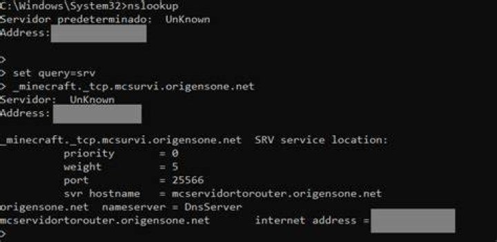 How to only open the TCP port 25565 for multiple Minecraft servers?