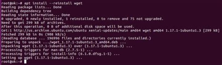 How to reinstall a package using 'apt-get'?