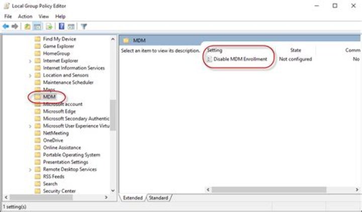 How to remove MDM policies when I don't even have any MDM listed?