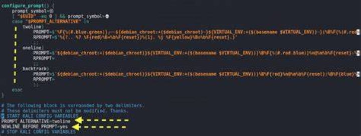 How to revert to one line terminal in new Kali Linux 2020.04