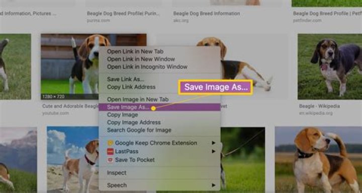 How to save all images of a site whilst browsing