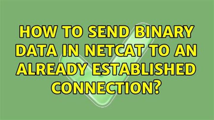 How to send binary data in netcat to an already established connection?