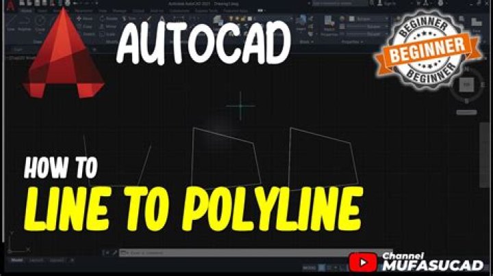 How to simplify a polyline in AutoCAD?