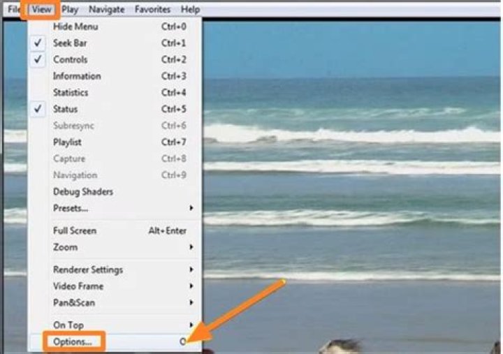 How to turn off details being displayed in Media Player Classic?
