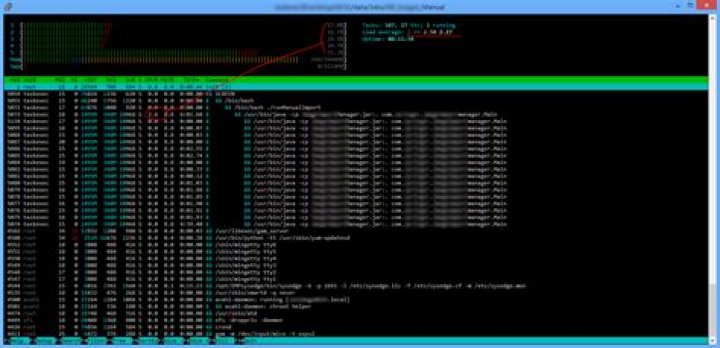 htop screen dump