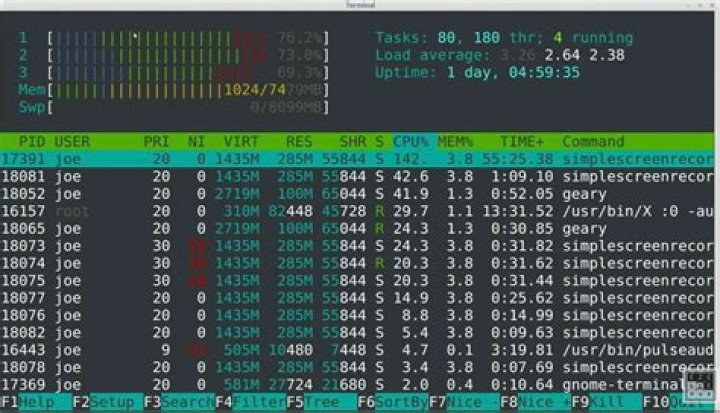 htop screenshot