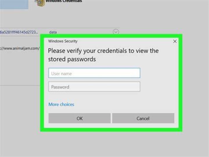 I need to view my windows credentials password