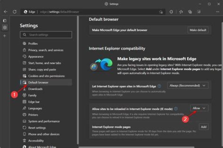 IE "Add-on for the website failed to run" error?