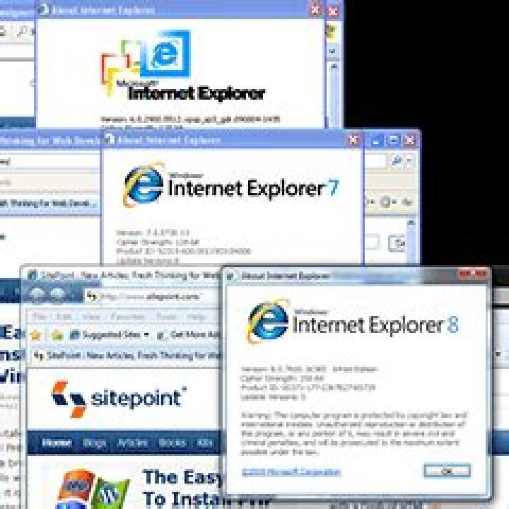 IE8 on Windows 7