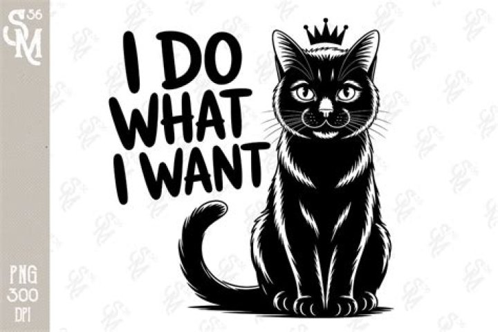Image showing what I want to achieve