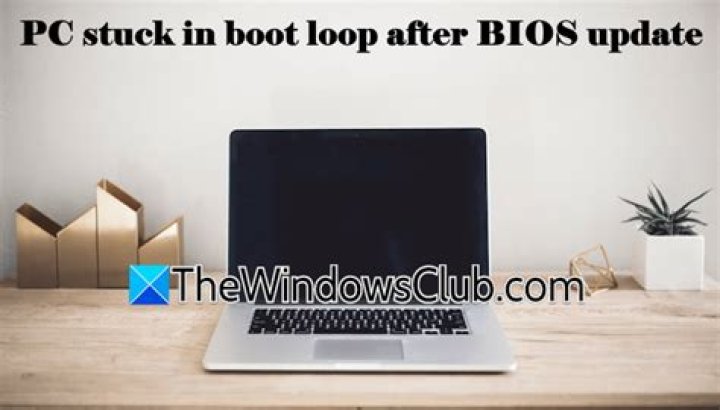 In the BIOS the mouse is stuck