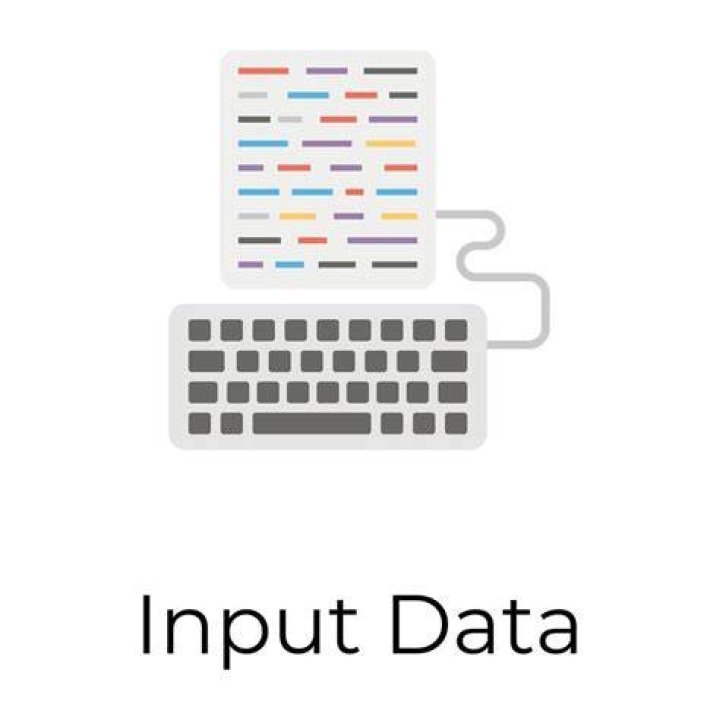 Input Data