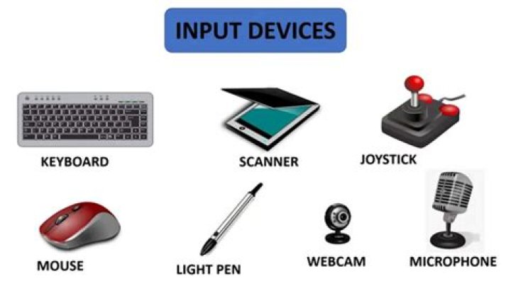 Input.