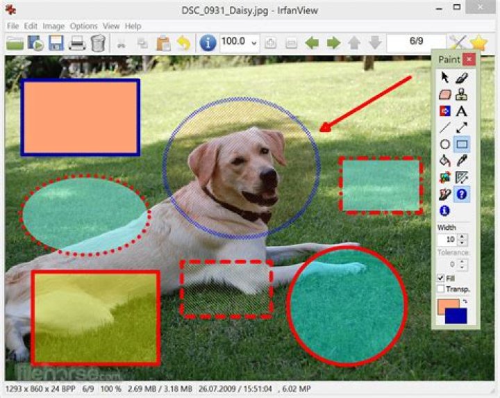 irfanview screenshot
