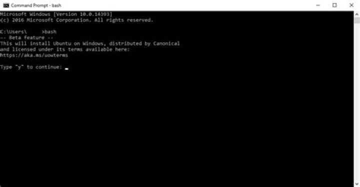 Is there a way to run a Bash command from CMD?