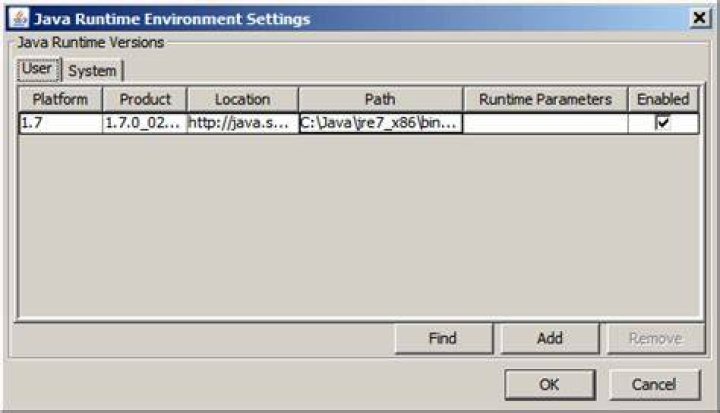 Java runtime environment settings