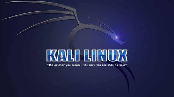 Kali Linux won't boot to GUI