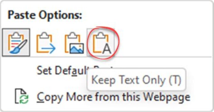 Keep Text Only option