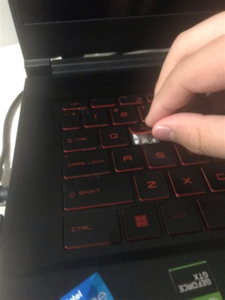 Laptop keeps spamming s key randomly