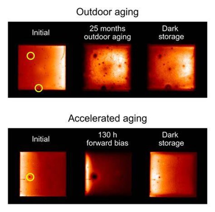 Light accelerated ageing on several DVDs brands