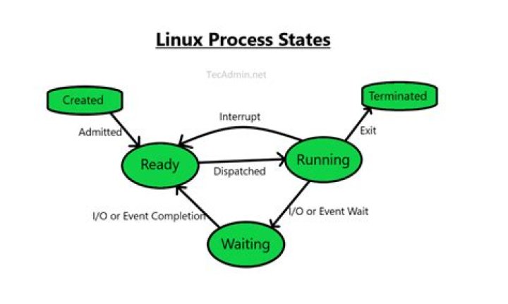 Linux kernel process states: Ready, Running, Stopped, Suspended, Traced, Zombie