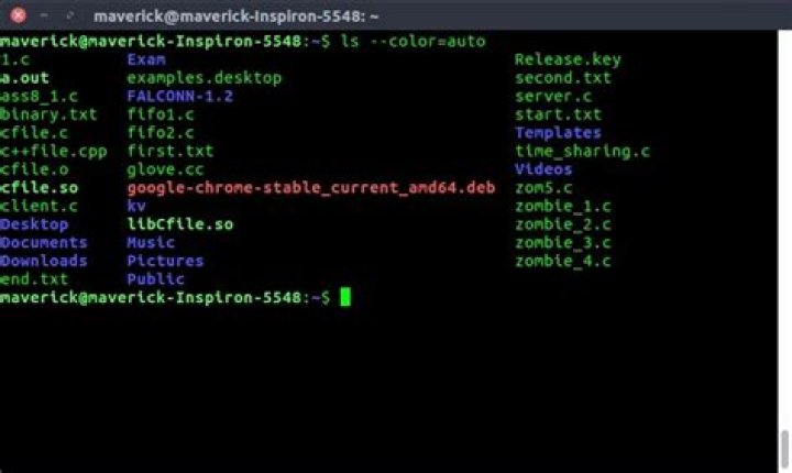 Linux ls command not showing any files