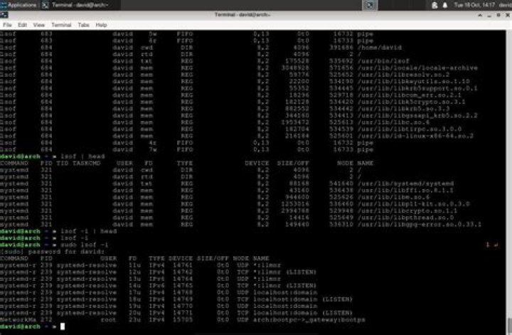 lsof on /dev/disk1 and /dev/rdisk1