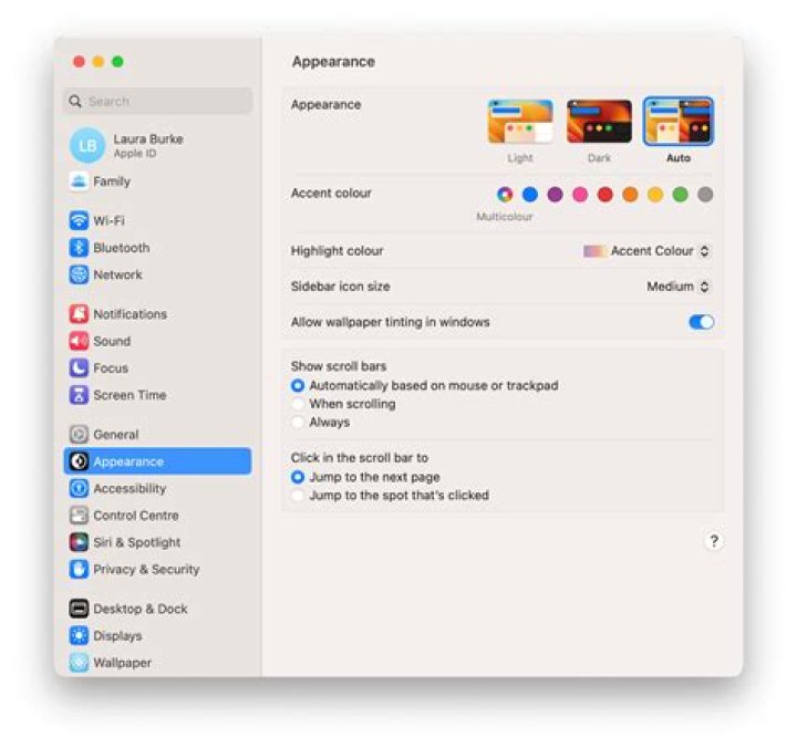 Mac Office 2016 View Preferences