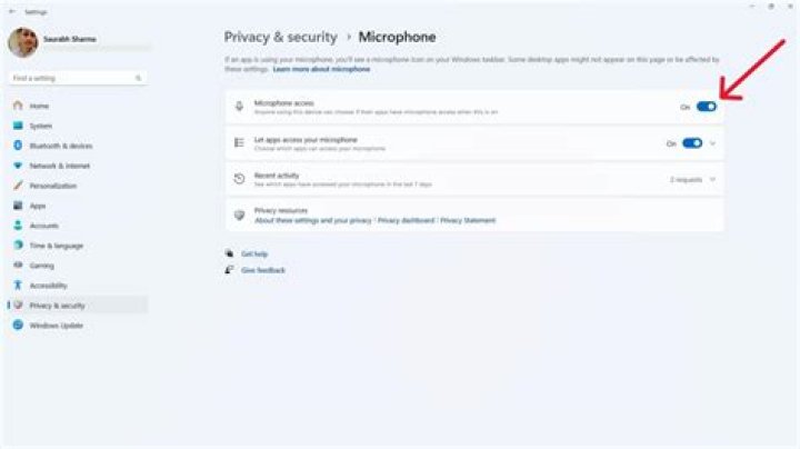 Microphone section in the Privacy page in the Settings app