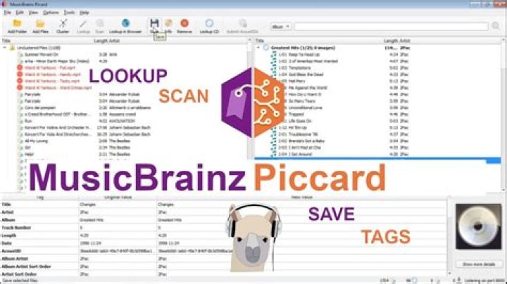 MusicBrainz Picard script tagger screenshot