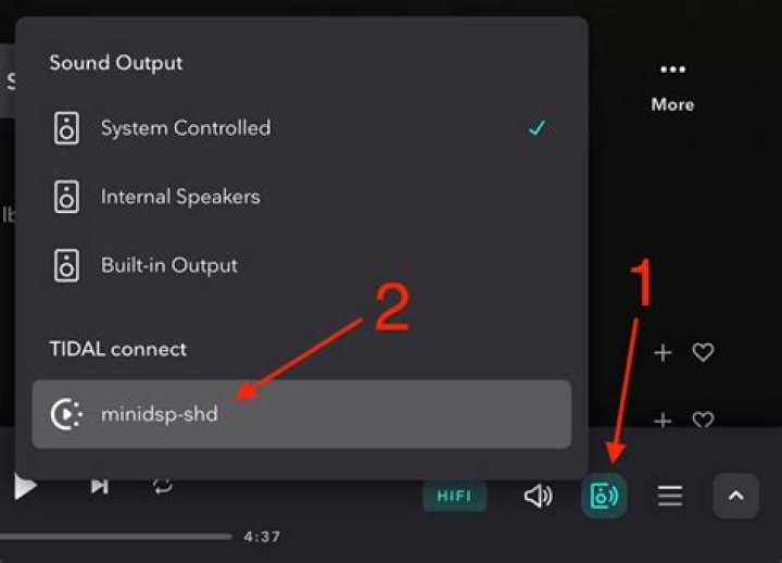 Native Windows support for audio casting / streaming to WiFi Speakers