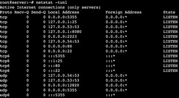 Netstat -ano. What does this mean..?