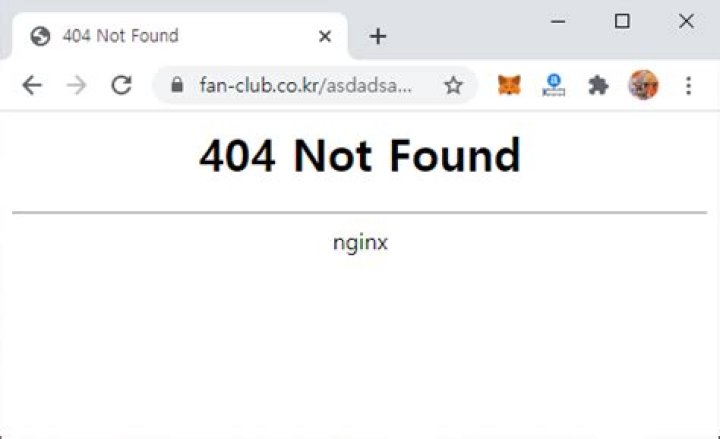 Nginx returns "404 Not Found" for everything but index.html