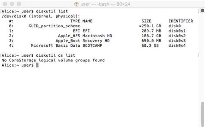 No CoreStorage logical volume groups found