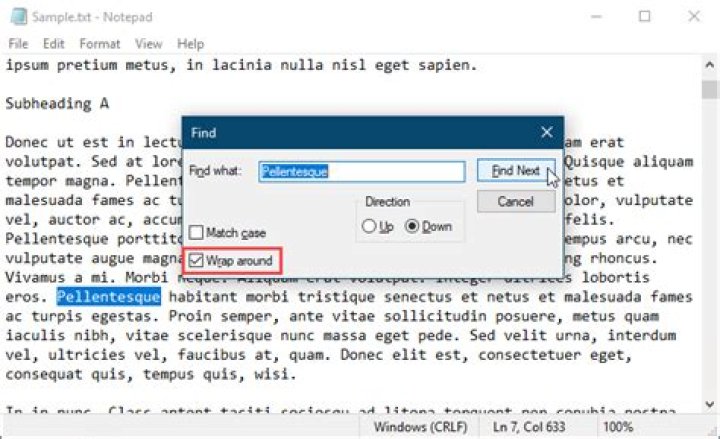 Notepad wrap around search