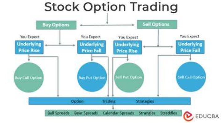 Option