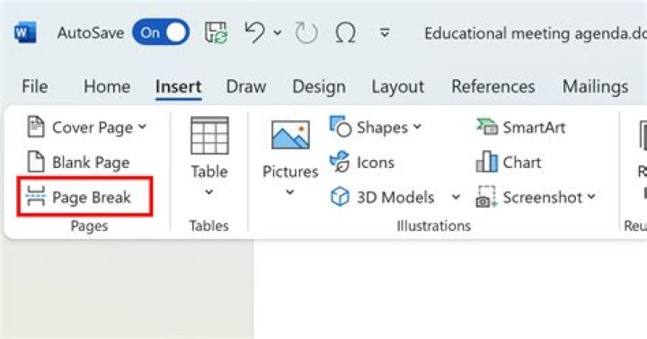 Page break option
